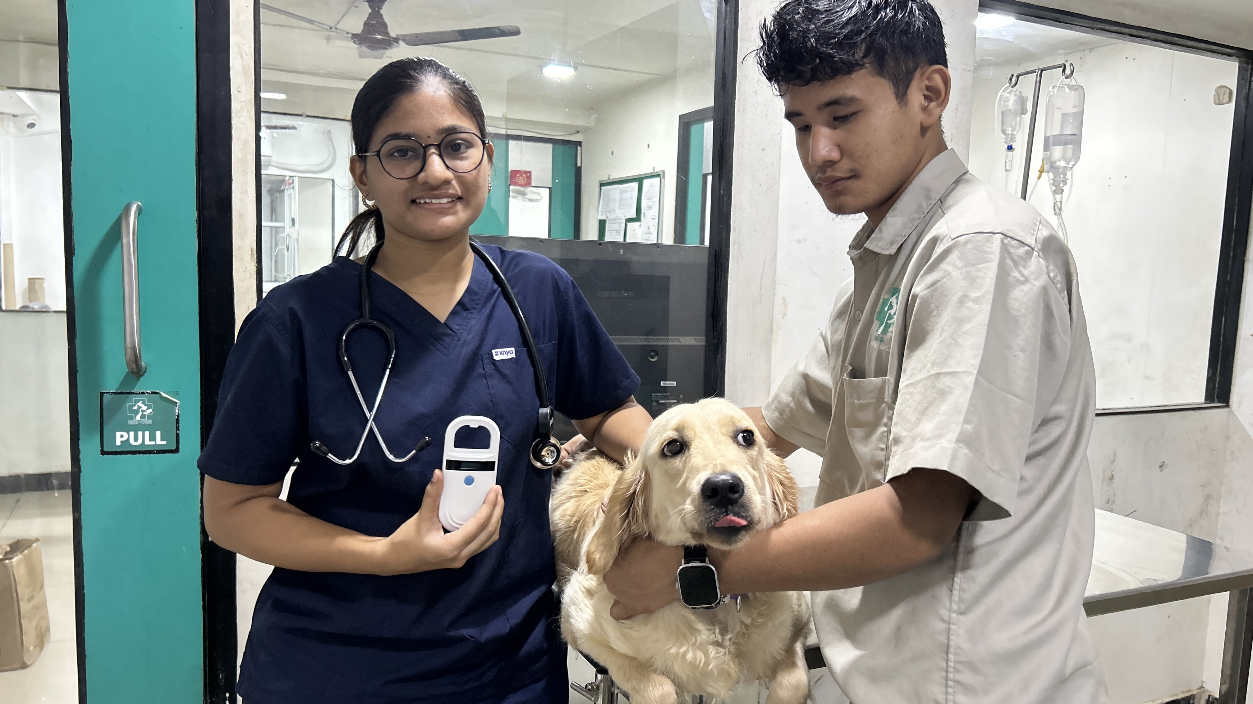 Pet Microchipping